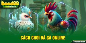 cach-choi-da-ga-online