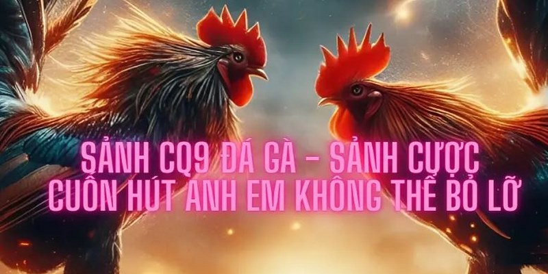 Đa dạng kèo cược cung cấp trong mỗi trận đấu